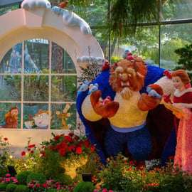 Singapour : billet d'entrée combiné pour Gardens by the Bay