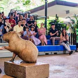 Singapour : billet d'entrée pour River Wonders