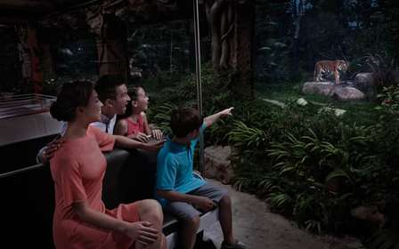 Singapour : billet d'entrée pour le Night Safari avec trajet en tramway