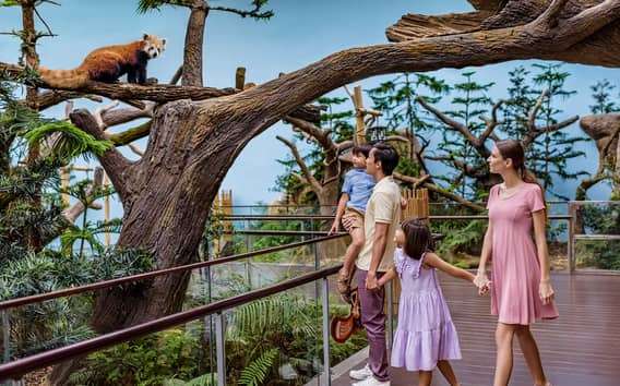 Singapour : billet d'entrée pour River Wonders
