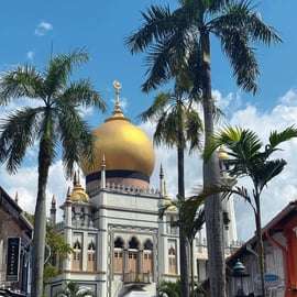 Singapour : visite de 12 lieux d'intérêt avec temps libre et transferts
