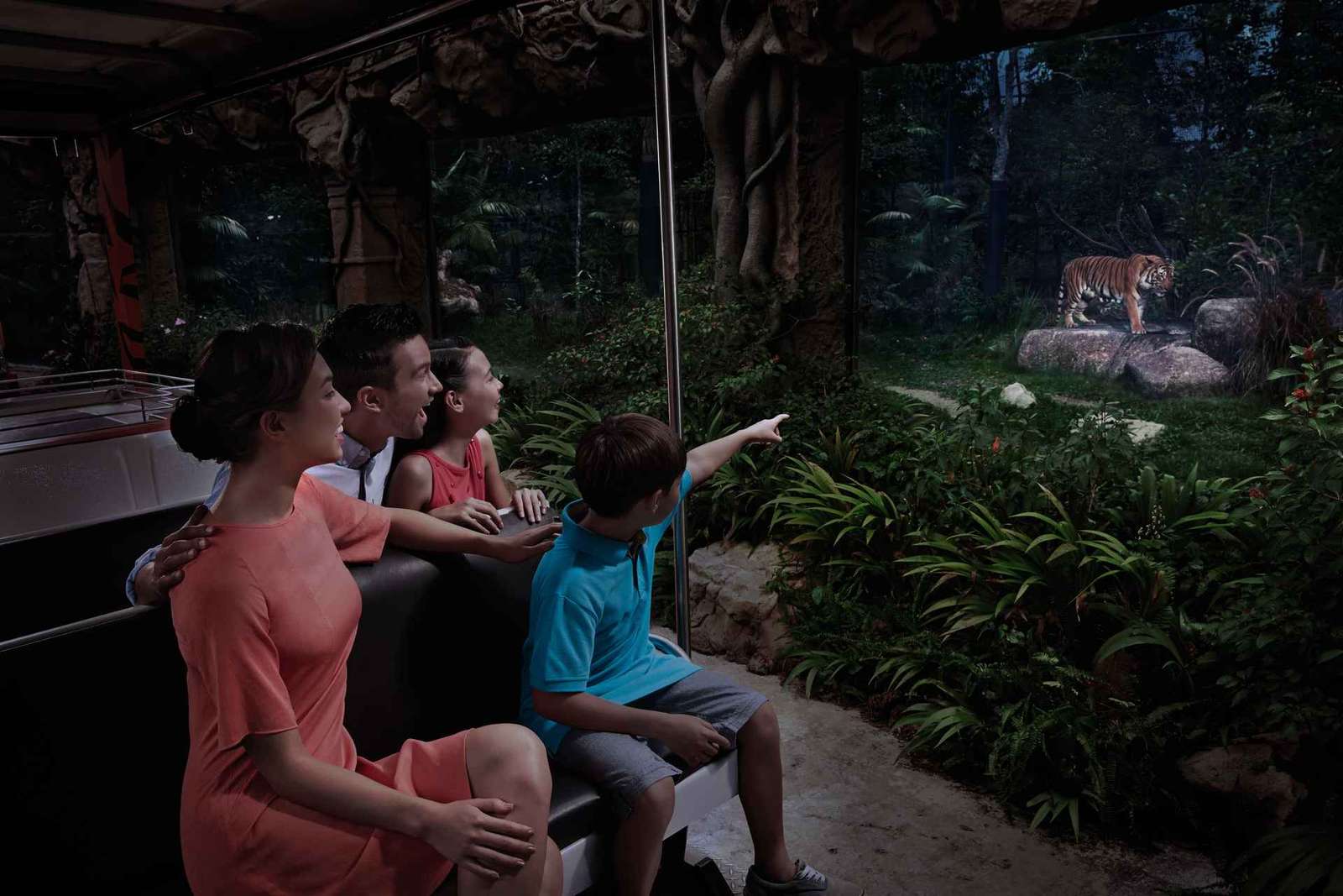 Singapour : billet d'entrée pour le Night Safari avec trajet en tramway