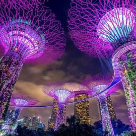 Singapour : Visite touristique nocturne de la ville avec croisière fluviale