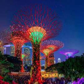 La nuit étoilée de Singapour : Croisière, Garden Rhapsody et Spectra