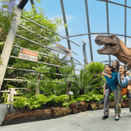Singapour : Gardens by the Bay billet d'entrée