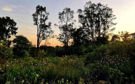 Visite à pied des jardins botaniques et de Tiong Bahru avec petit-déjeuner