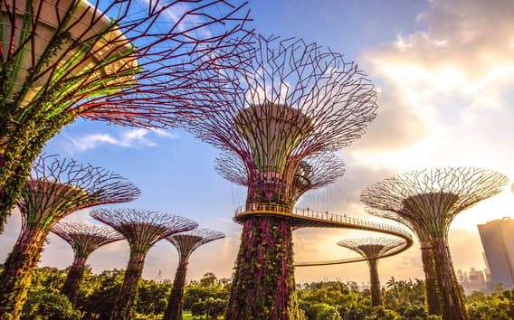 Singapour : Gardens by the Bay billet d'entrée