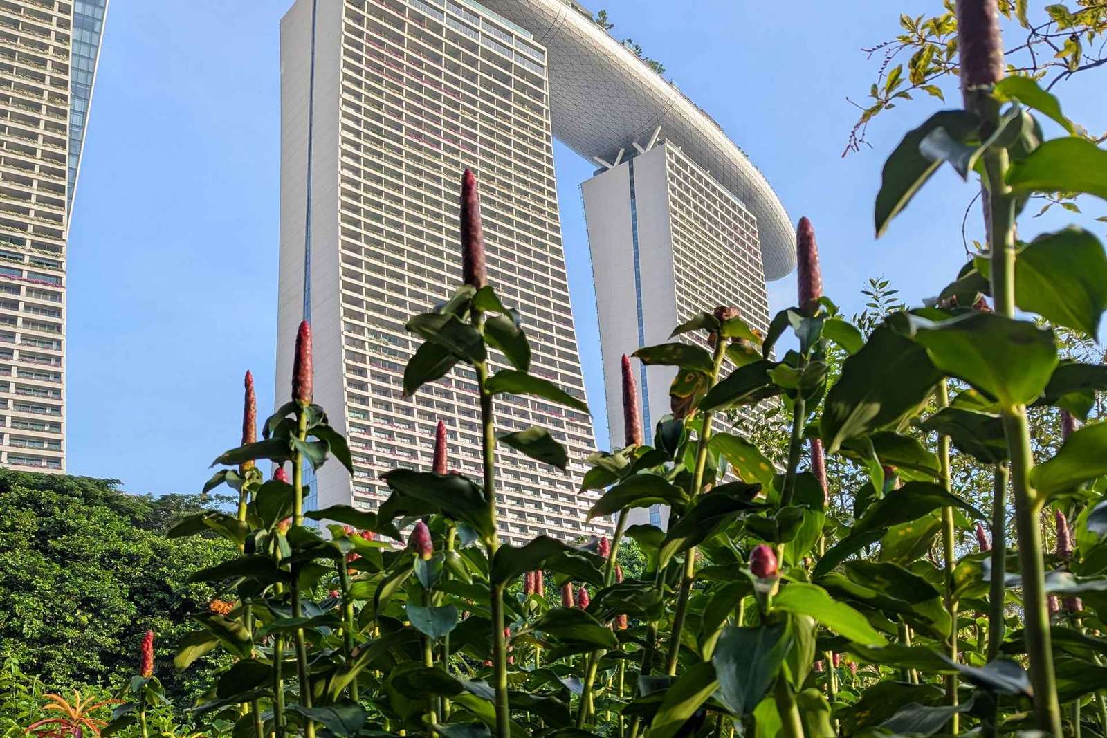 Visite des Jardins de la Baie : promenade parmi les super-arbres et la Forêt de nuages