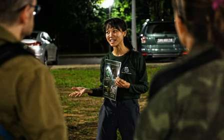 Singapour : promenade nocturne dans la mangrove