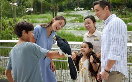 Singapour : billet d'entrée pour le paradis des oiseaux