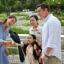 Singapour : billet d'entrée pour le paradis des oiseaux