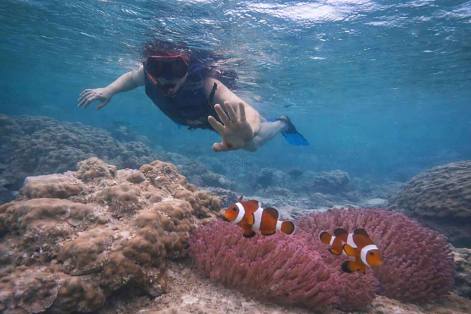 Au départ de Singapour : plongée en apnée et canoë privé sur l'île de Batam