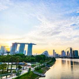 Singapour : visite nocturne en bus avec guide en chair et en os