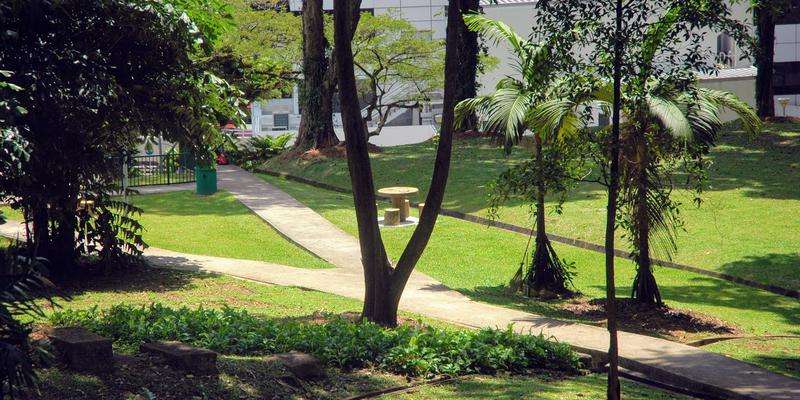 Pearl's Hill City Park