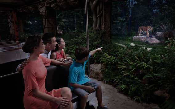 Singapour : billet d'entrée pour le Night Safari avec trajet en tramway