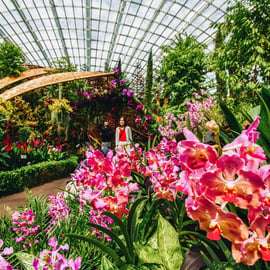 Billet d'entrée pour Gardens by the Bay