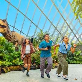 Singapore Gardens by the Bay avec billet d'entrée et prise en charge