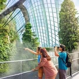 Billets d'entrée pour 2 dômes à Gardens by the Bay et transferts partagés