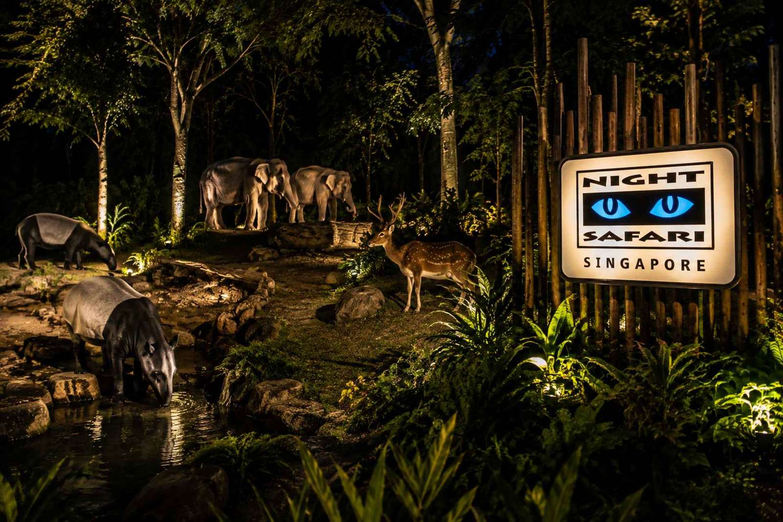 Singapour : safari de nuit avec excursion en tram et prise en charge à l'hôtel