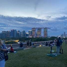 Visite touristique privée Marina Bay Sands+Croisière fluviale (Max6)
