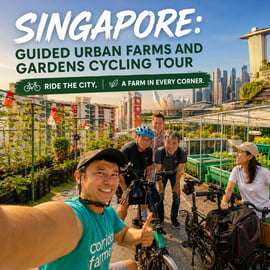 Singapour : visite guidée à vélo des fermes et jardins urbains